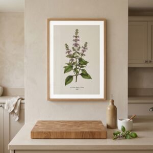 Basil