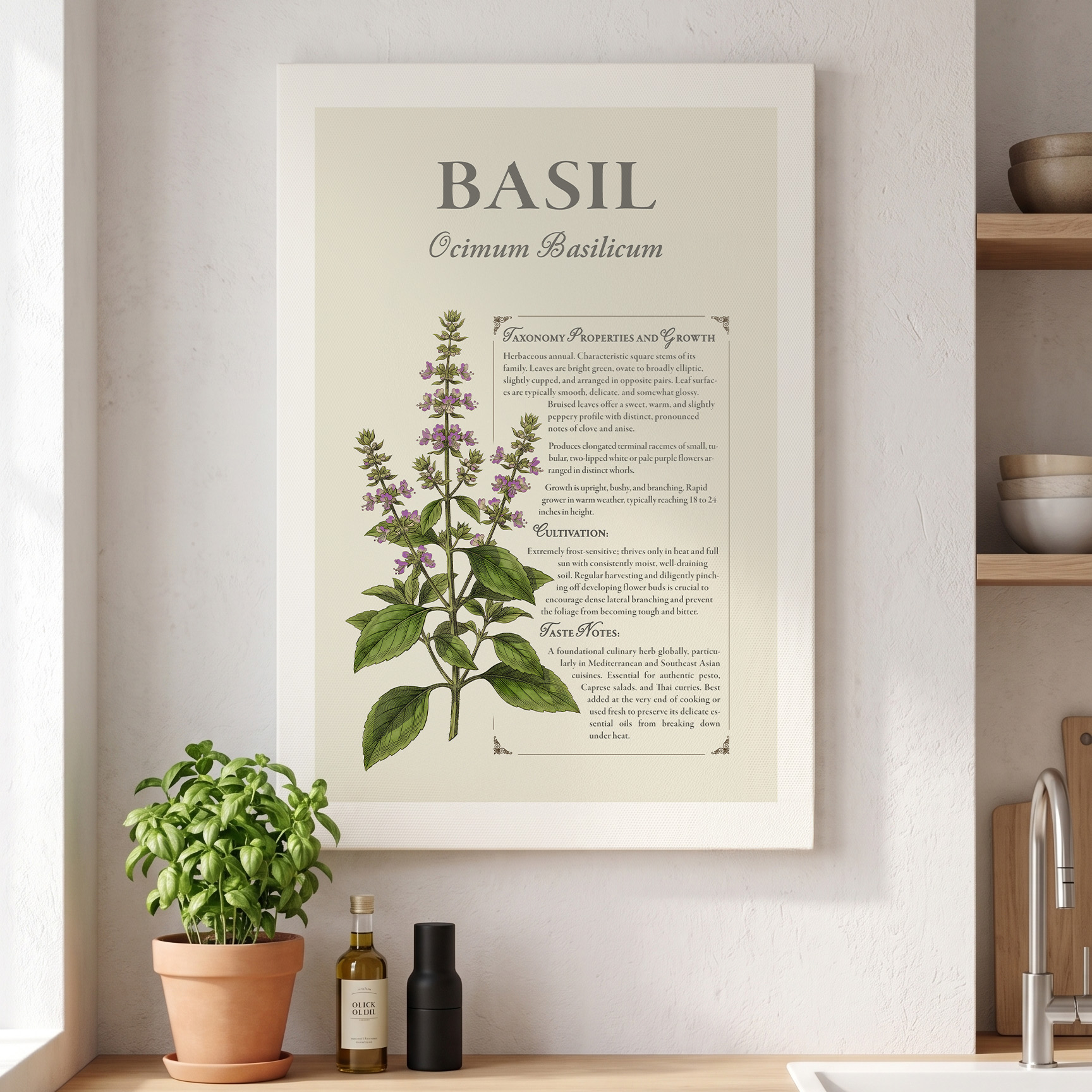 Basil — Field Notes - Image 2