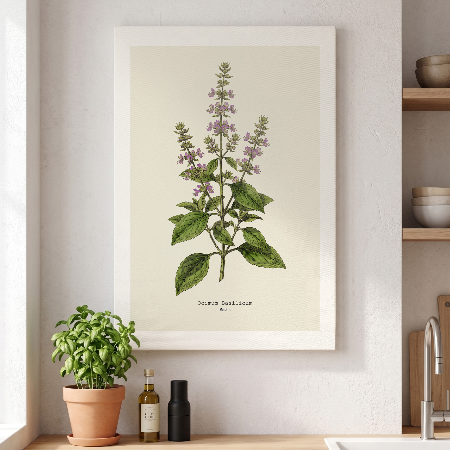 Basil — Botanical Study - Image 2