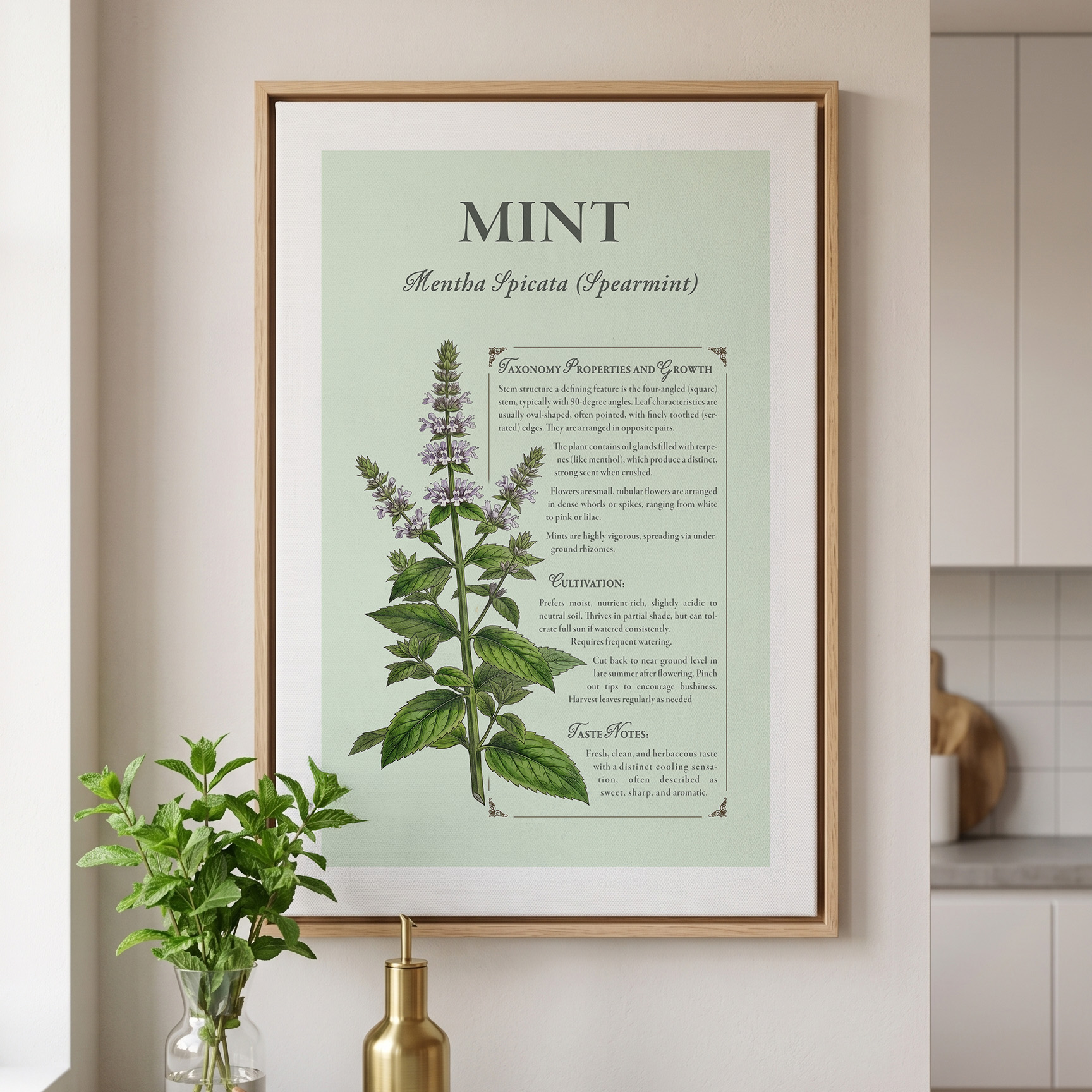 Mint — Field Notes - Image 2