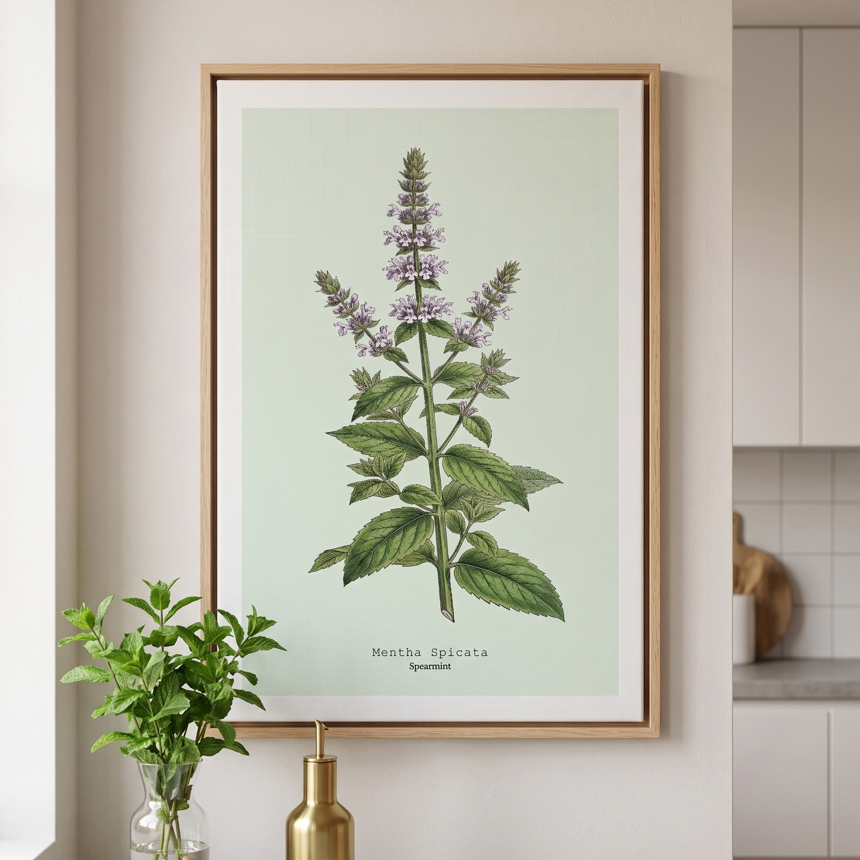 Mint — Botanical Study - Image 2